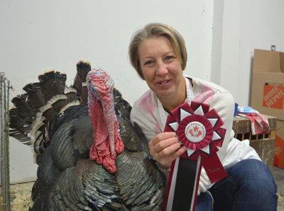 Champion Turkey Bronze Tom Elena Roberts.jpg