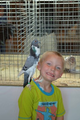 kingston boy pigeon.jpg