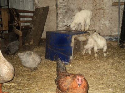 DSC00864.JPG