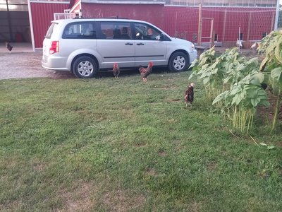 20170805_200447.jpg