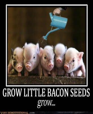 baconseeds.jpg