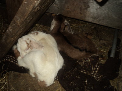DSC00868.JPG