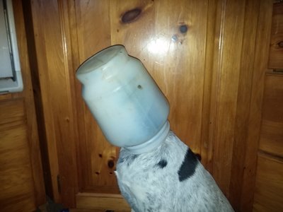 20170516_191458.jpg
