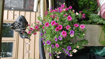 20170701_122118.jpg