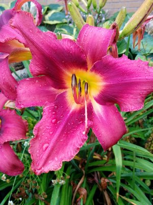 IMG_20160725_103514.jpg
