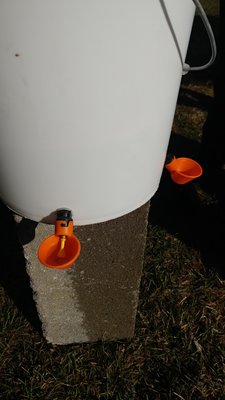20190428_082404.jpg