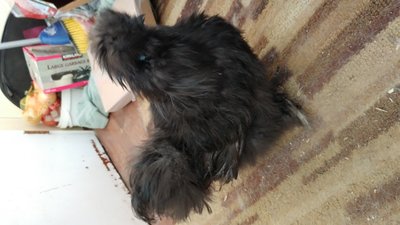 20170309_102559.jpg