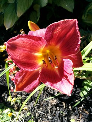 IMG_20160726_102039.jpg