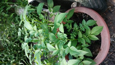 20180621_173029.jpg