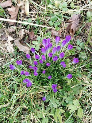 IMG_20160313_153233.jpg