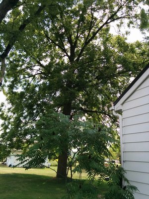 IMG_20160803_145159.jpg