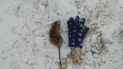 20171225_122946.jpg