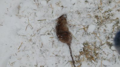 20171225_122929.jpg