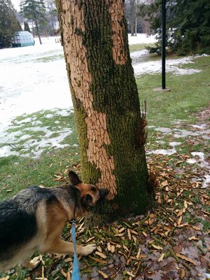 IMG_20170117_140354.jpg