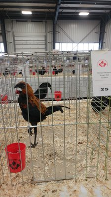 20181020_092738.jpg