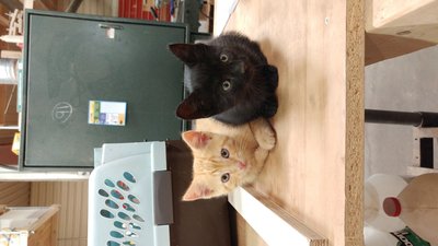 20170725_123136.jpg