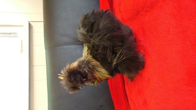 20170309_102038.jpg