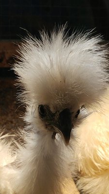 20181008_162418.jpg