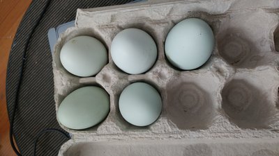 20170314_154856.jpg