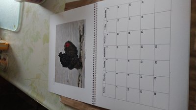 20171221_132956.jpg