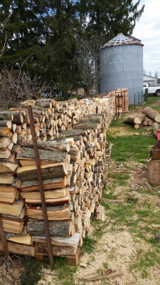 woodpile.jpg