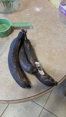 dead banana's.jpg