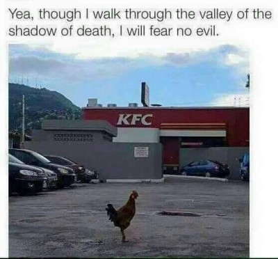 brave bird.jpg