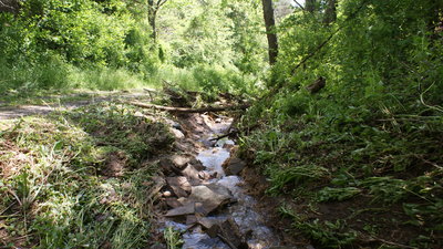 DSC04686.JPG