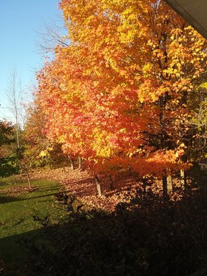 20191011_080642.jpg